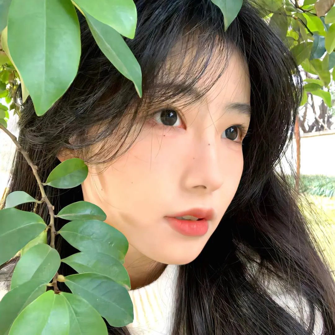 粗毛